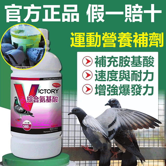 VICTORY 綜合氨基酸 賽鴿營養補劑